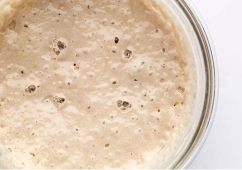 Sourdough Made Simple with D'BakerAid's Proofing Program