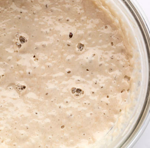 Sourdough Starter - Secret Recipe